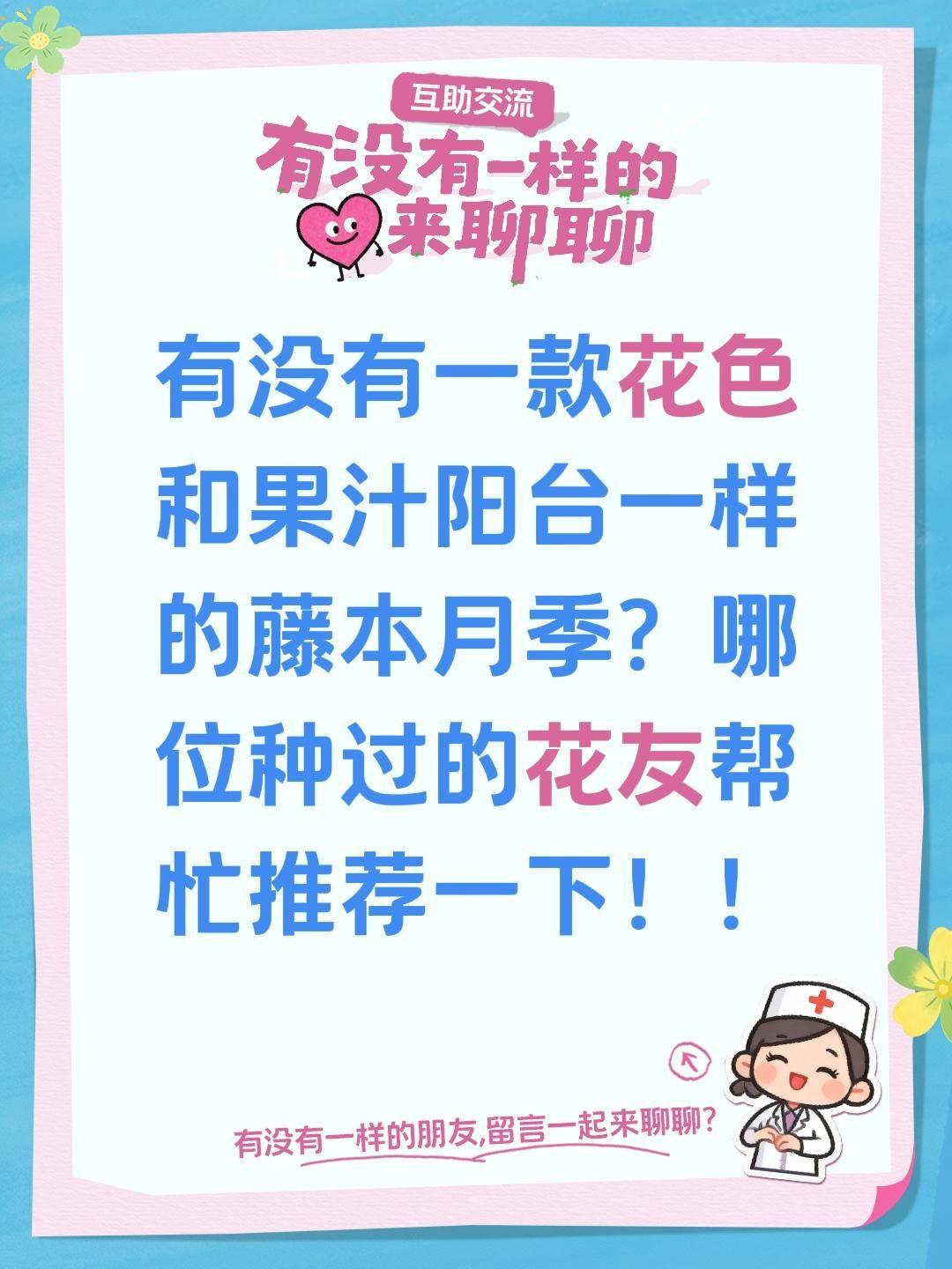 有没有一款花色和果汁阳台一样的藤本月季？哪位种过的花友帮忙推荐一下！！爬藤月季蔷
