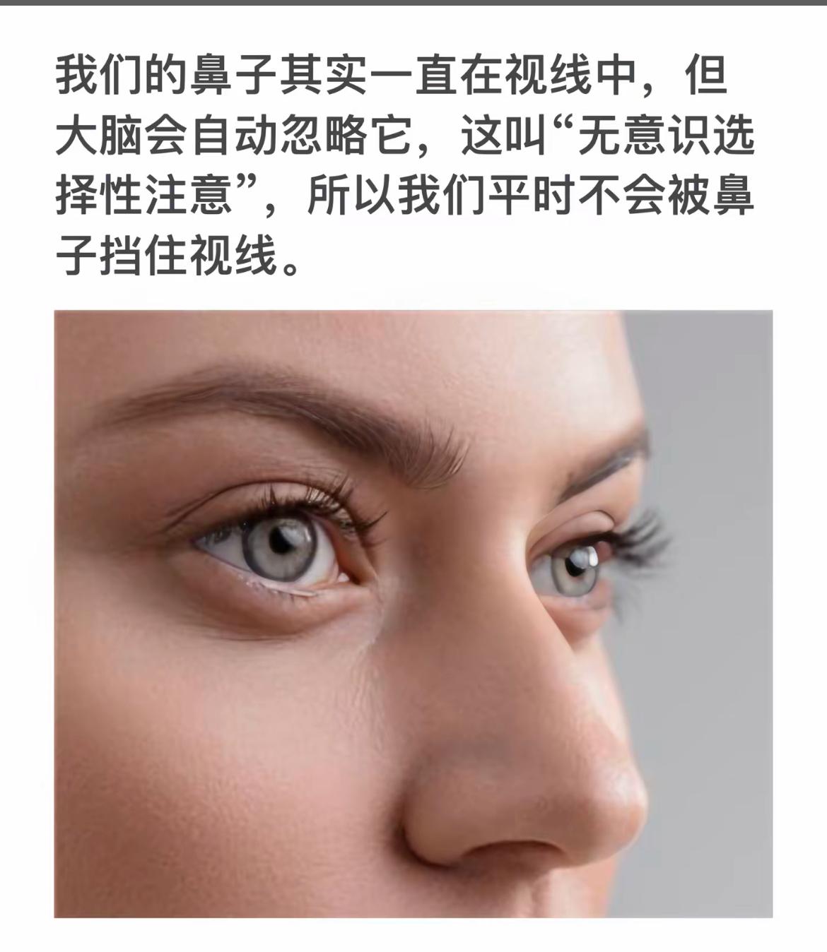 为什么我们不会被鼻子挡住视线？揭秘大脑的“选择性注意”！👀🧠