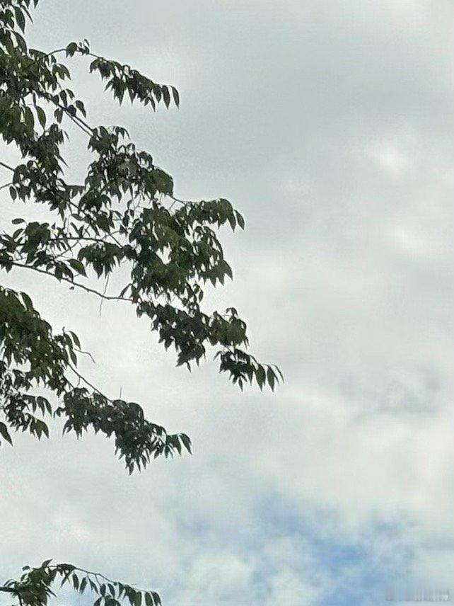每日一善[超话] 做人要知足常乐，知恩图报；做人要坦诚善良，宽容大度；做人要以心