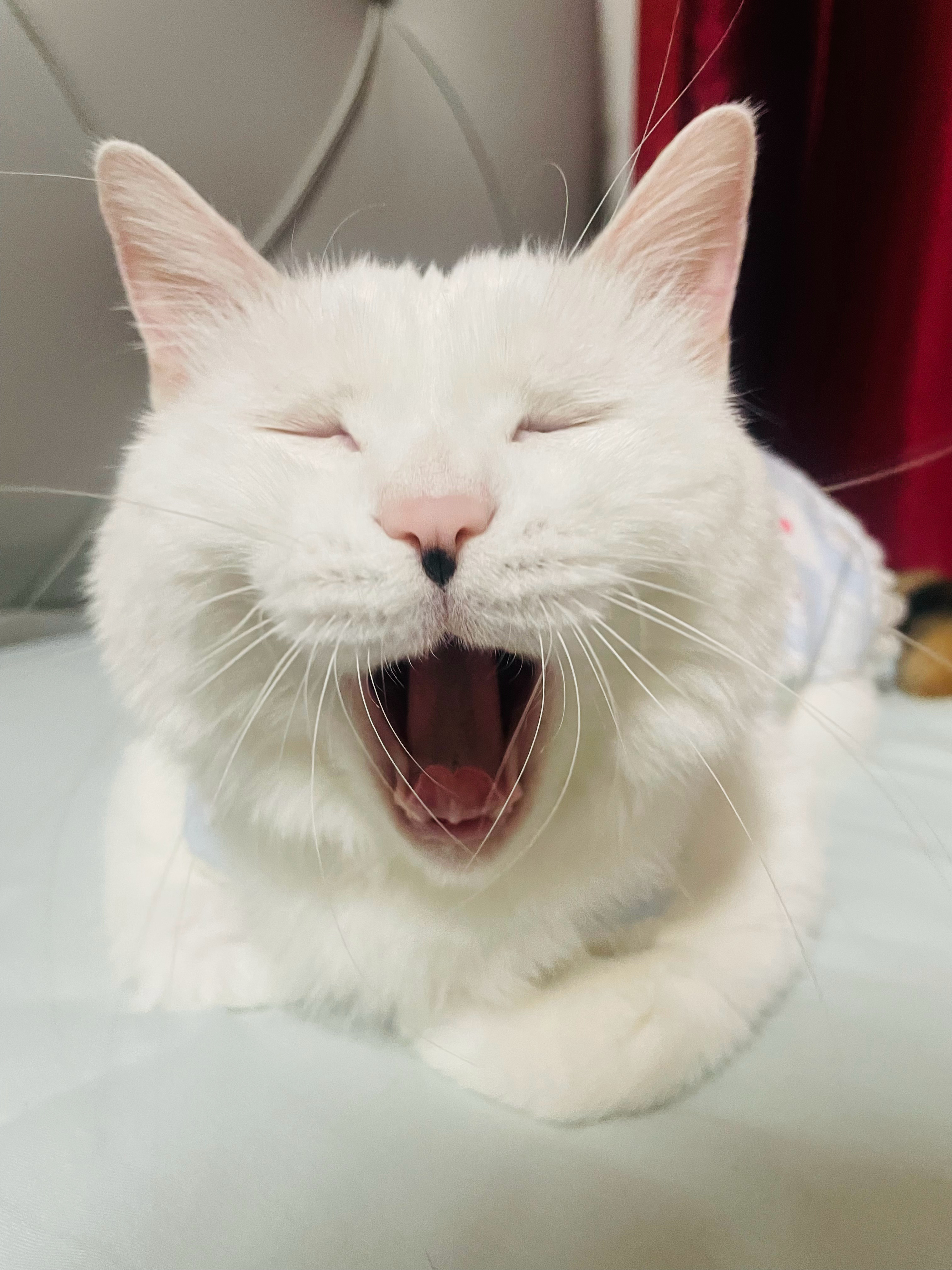 “时来天地皆同力，运去英雄不自由。”人生，时也，命也，运也。 ​​​