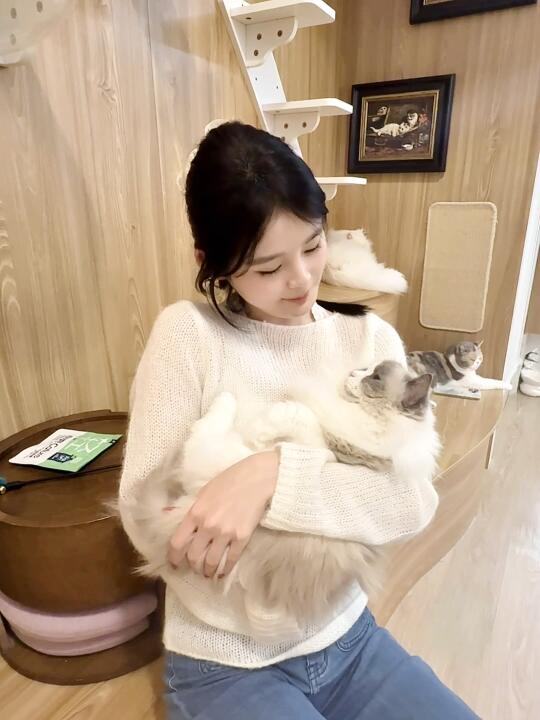 live抱猫猫