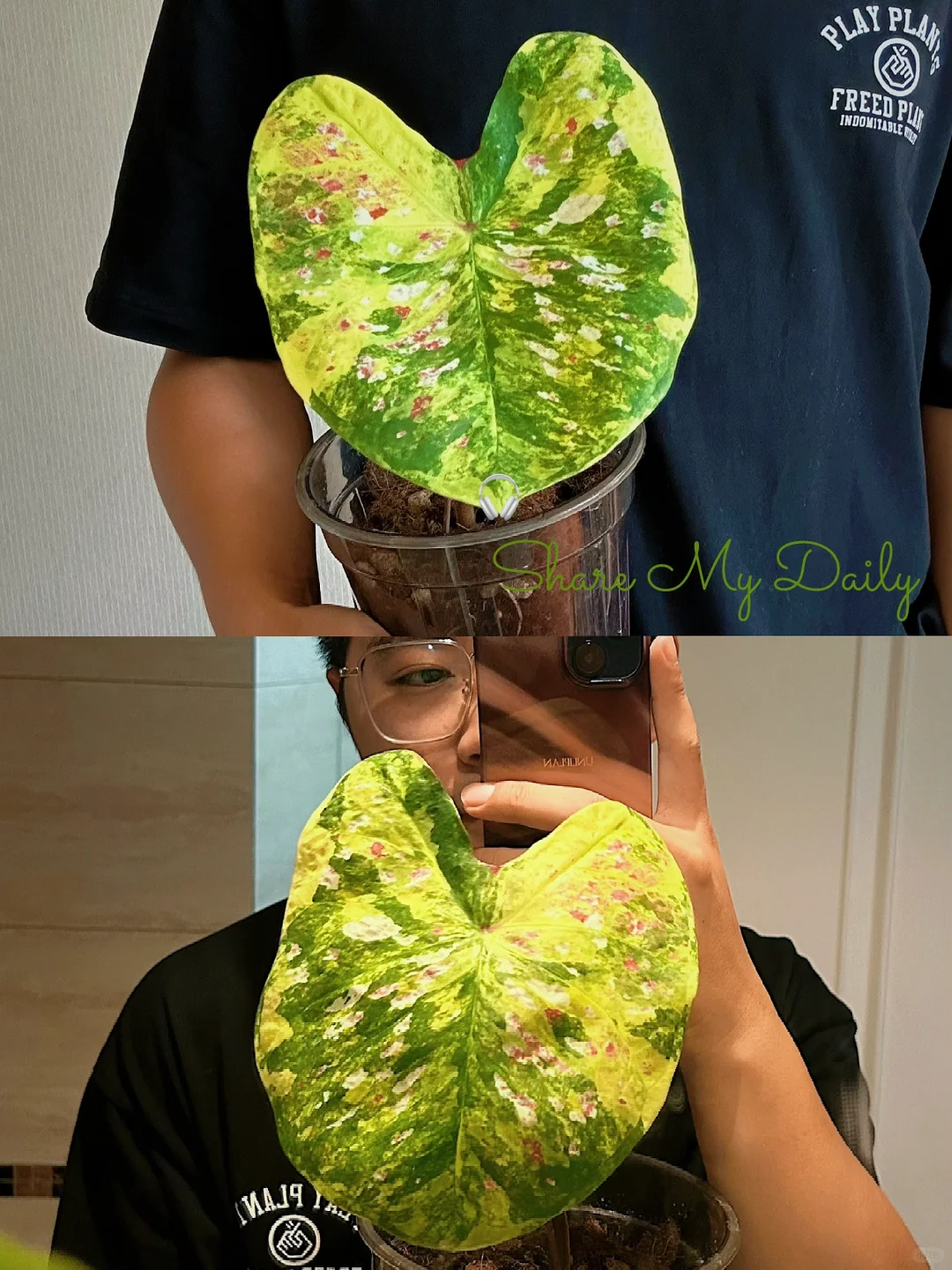 注意看这个泰彩叫小美