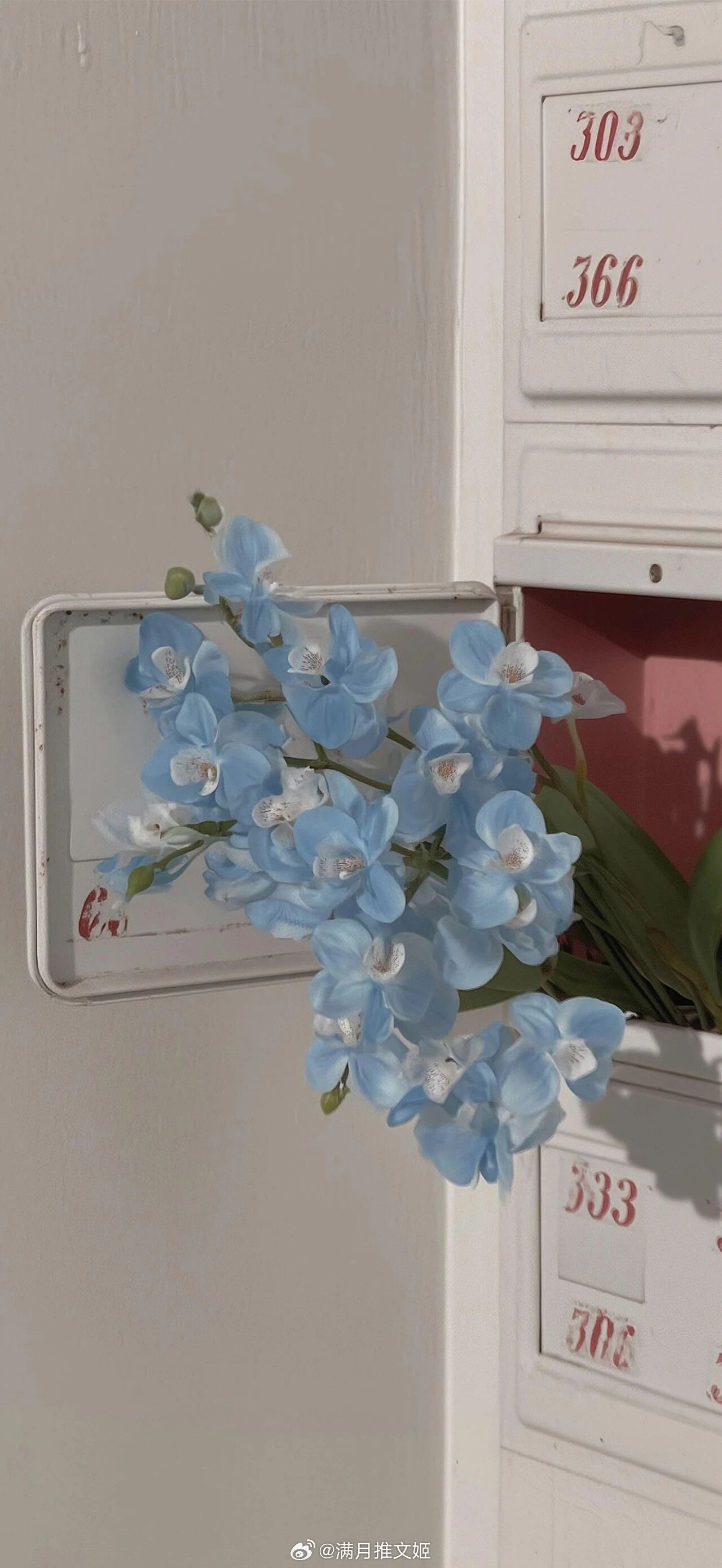 我最后的敬意，要献给那些知道我不完美却依然爱我的人。——泰戈尔《流萤集》早安