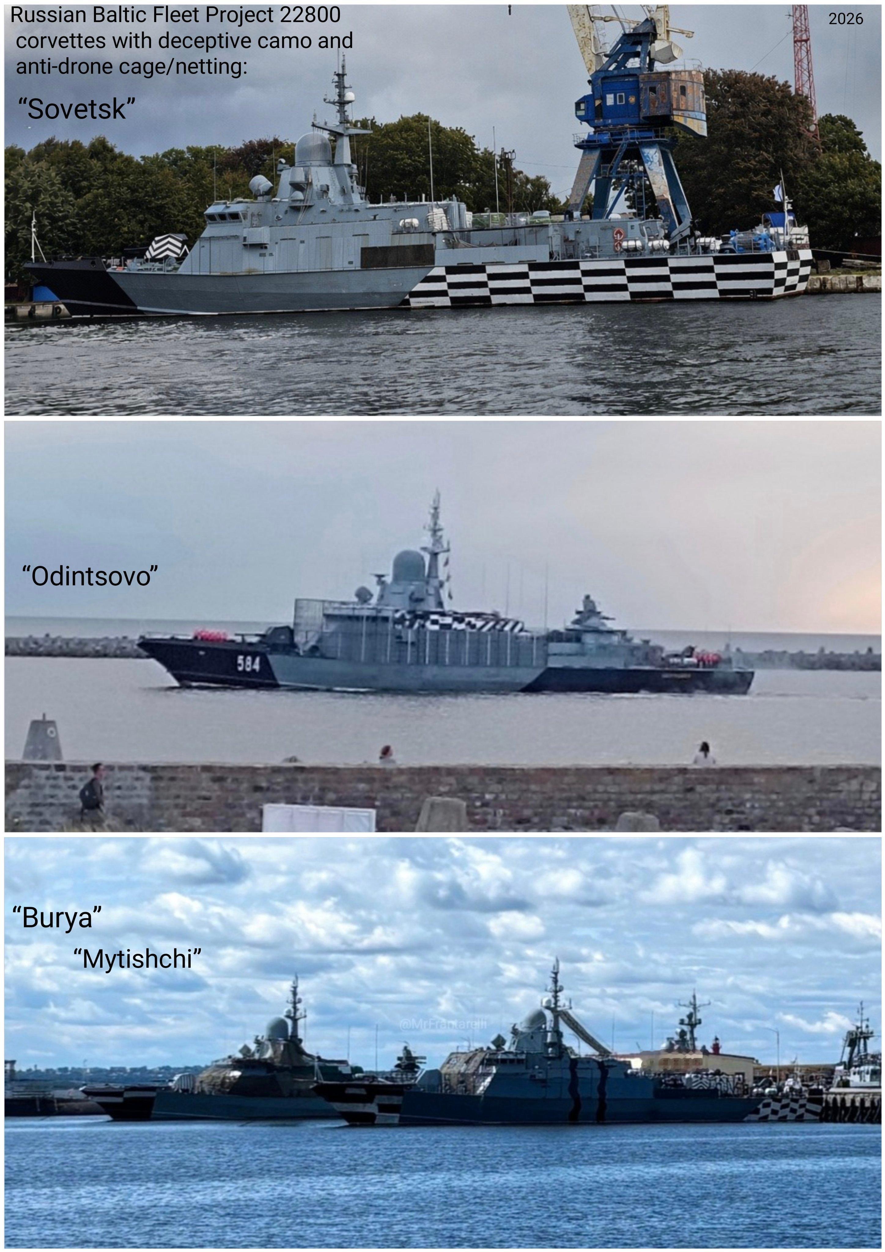 俄罗斯海军波罗的海舰队的4艘22800型 “红带蛛“级小型导弹舰：“梅季希”号、