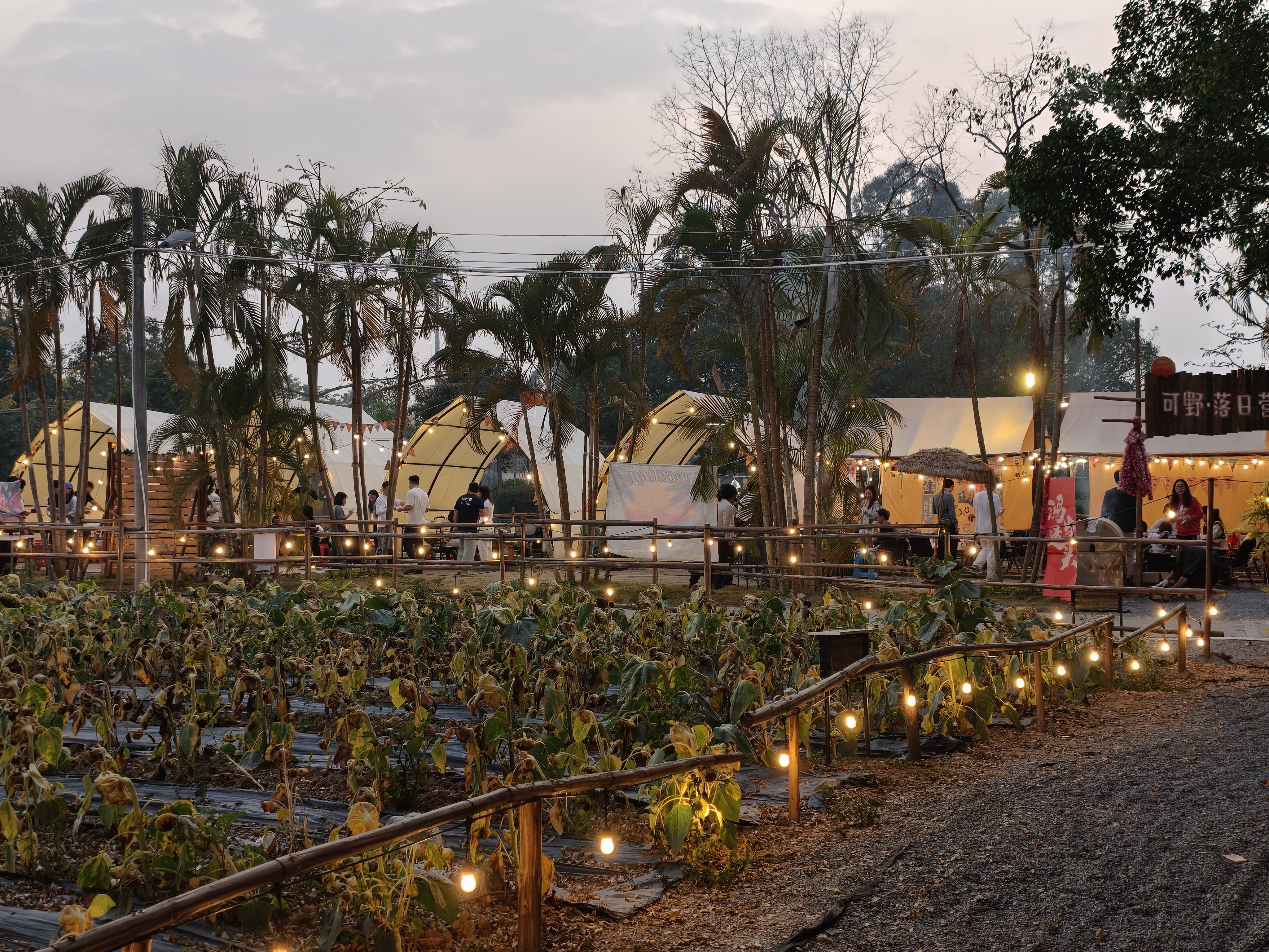 我是真没想到，这个营地非常偏，但是人特别多，怎么这个时候生意这么好？来解答一下吧