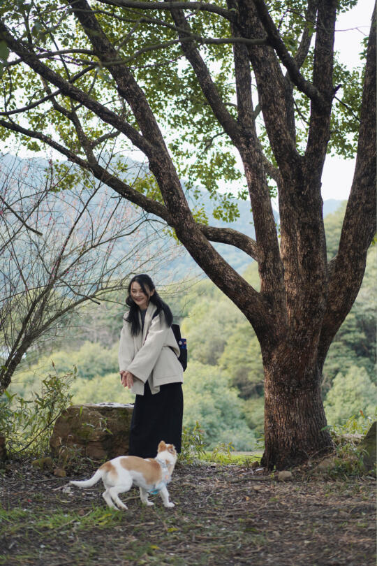 上春山｜杭州的茶山不止有龙井