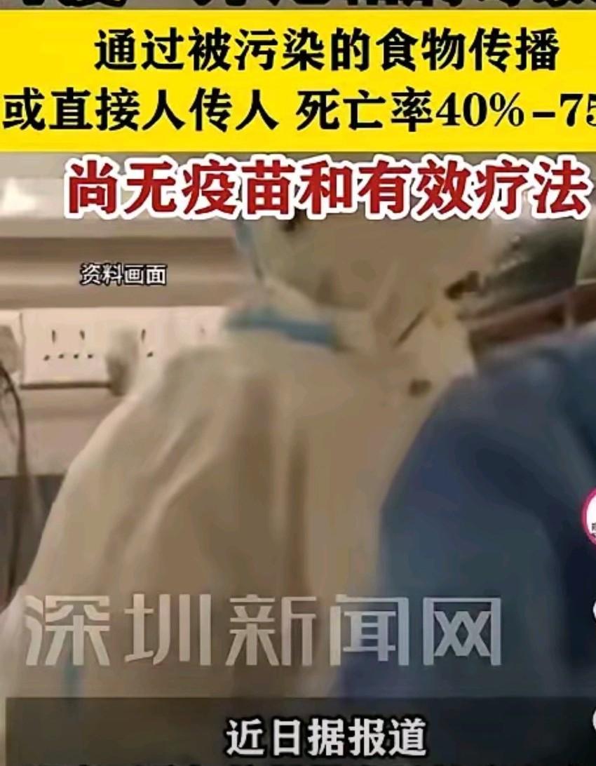 印度爆发邦尼帕病毒，看了这个消息，我也没心思做饭。也不想辛苦工作了想疫情期间那种