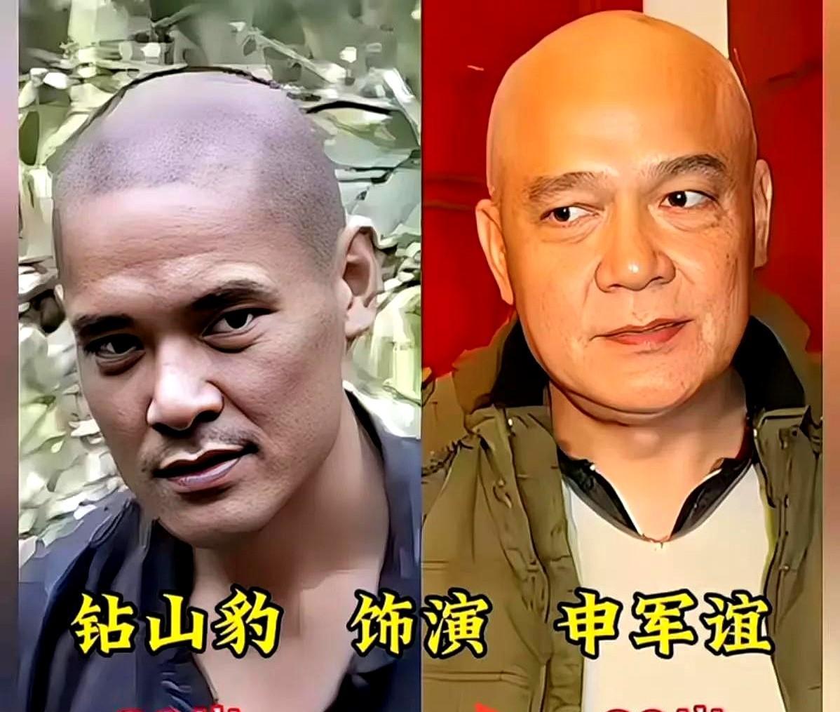 当年的反派，现在还是主角。
申军谊演的钻山豹，谁还记得？
那年看剧，以为他是坏人