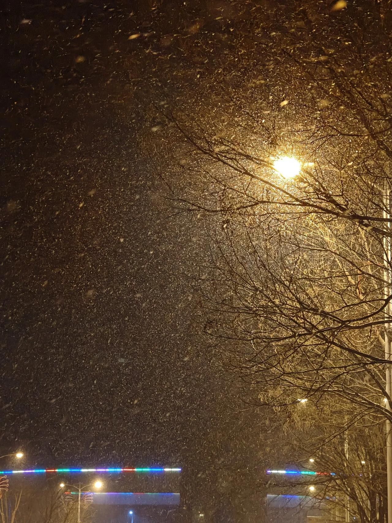 春日生活打卡季3月的天气，就和我老婆的脸一样，阴晴不定，昨日还十五六度。今天凌晨