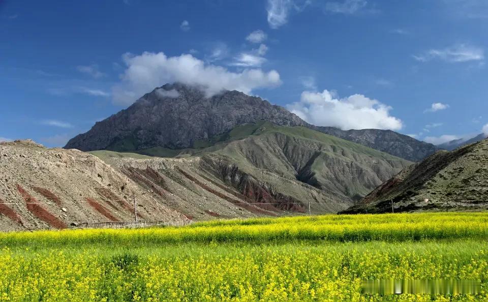 爱情也好，亲情也罢，
不是轰轰烈烈才叫动人，
平平淡淡里的相守，
才最经得起岁月
