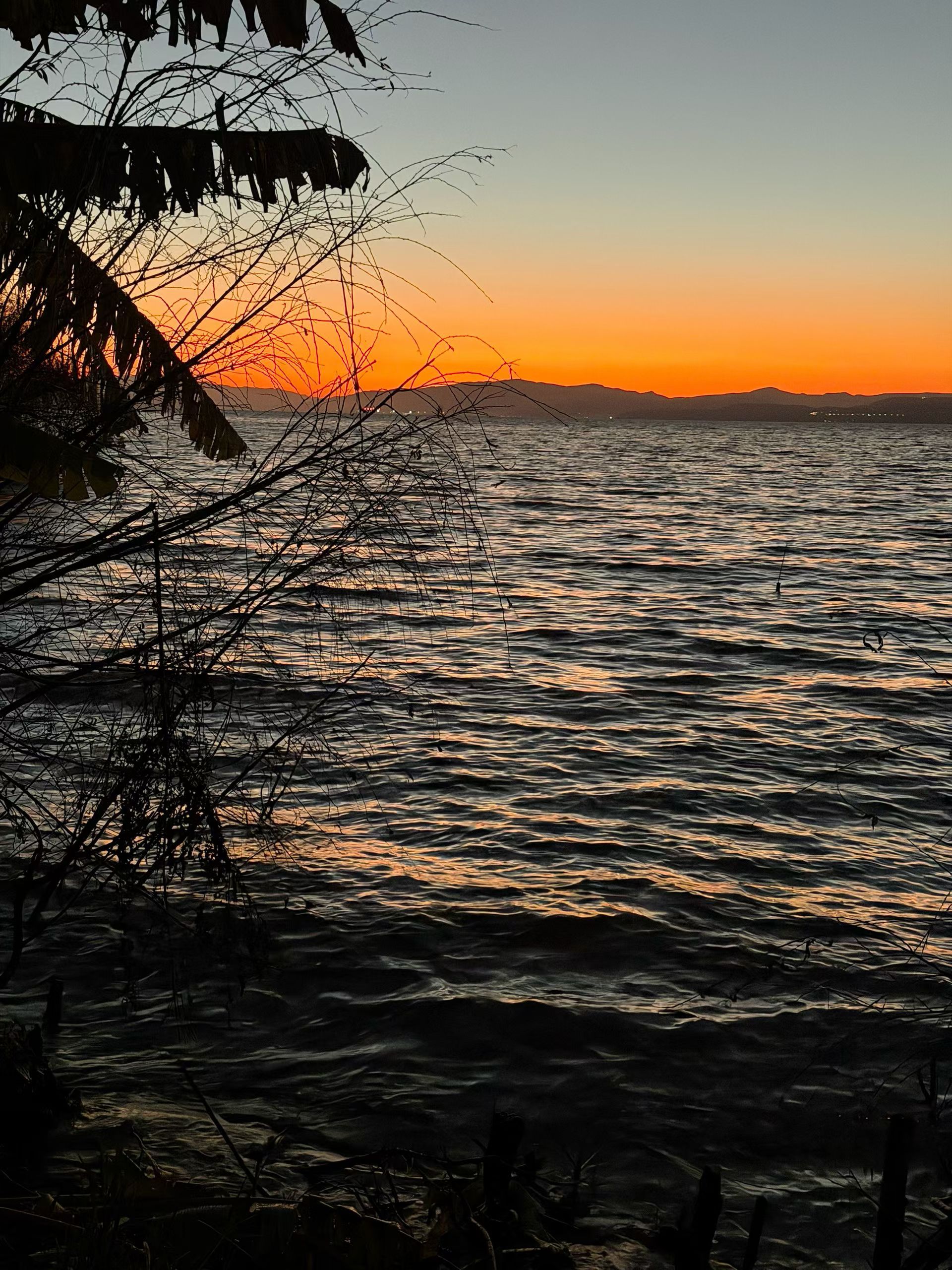 生活手记爱情里的过度思虑，从来都不是深情的证明，反而是消耗彼此的无形枷锁。会反复