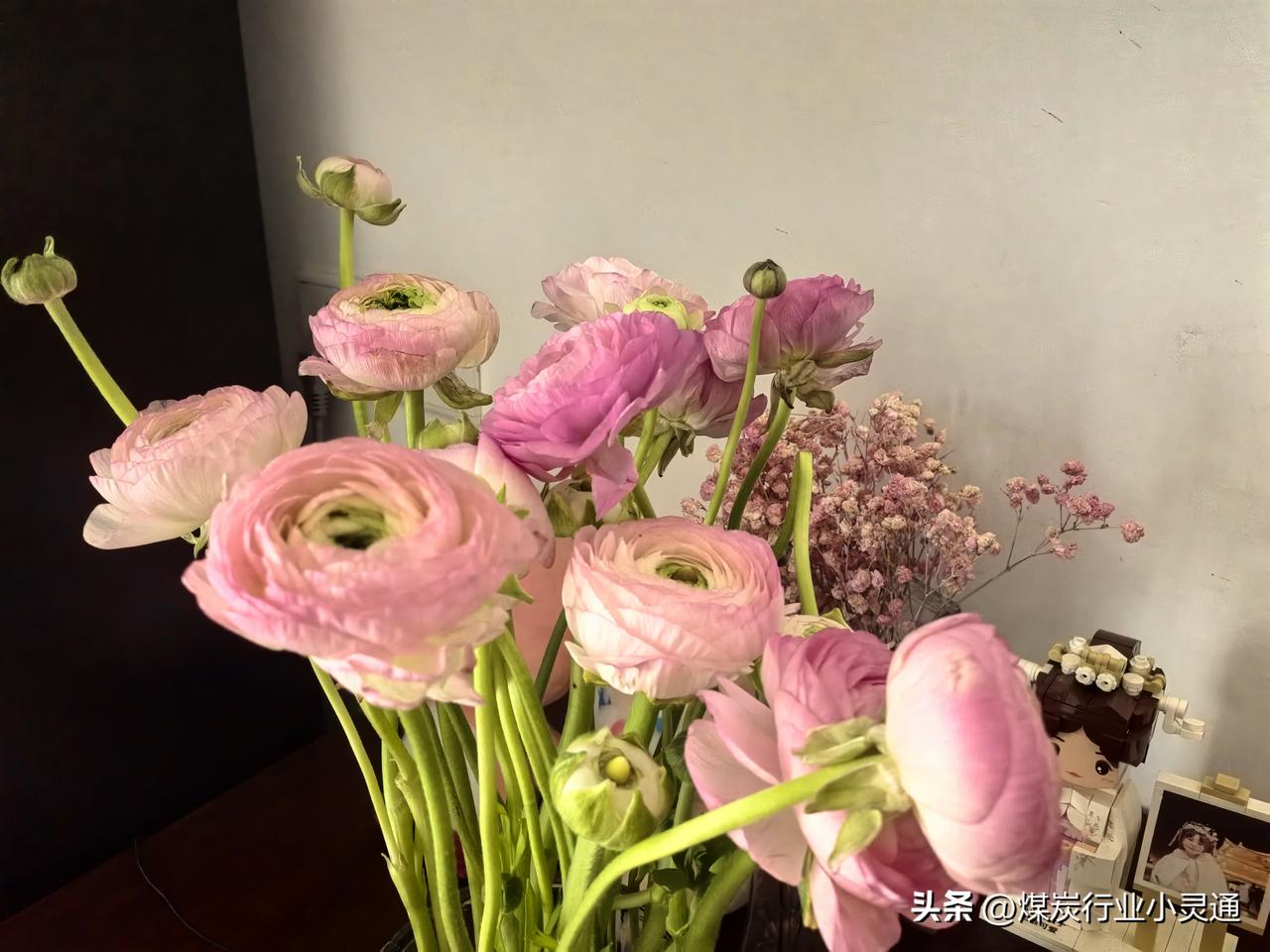 请用一句话概括一下，什么是幸福这大概就是幸福吧，吃着喜欢的东西，看着自己喜欢的事
