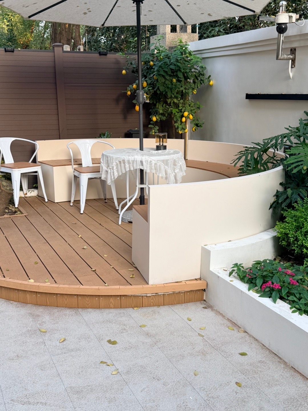 近期日常～院子的柠檬树被我养的很好～又装上圣诞树了 想把家布置成图5图6哈哈哈 