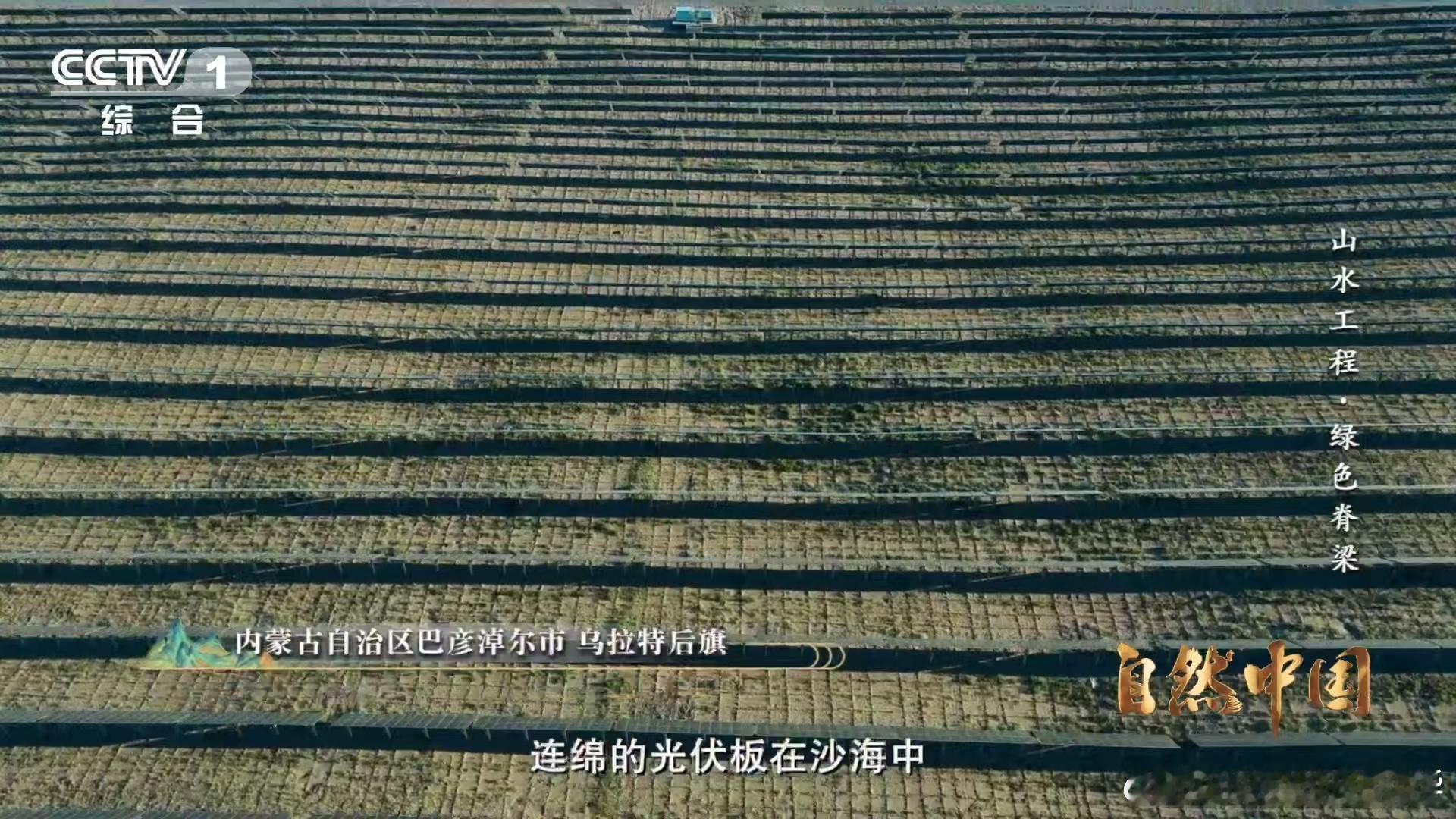 治沙界又添一员猛将光伏板一边发电一边治沙 3000小时日照不浪费！巴彦淖尔光伏板