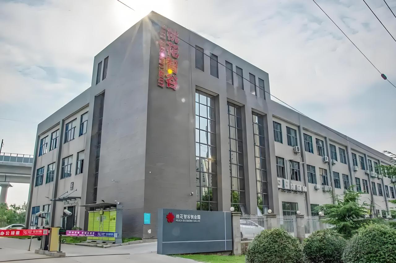 肥西家里有大学生的注意了！2026年最新创业扶持政策落地，最高50万贴息贷款、5