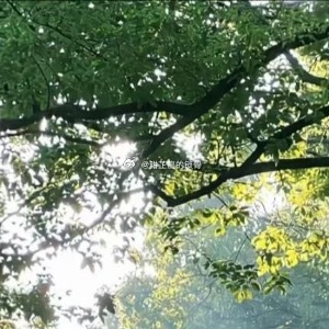 头疼。像是有一把生锈的钝刀，在头骨缝隙里来回切割，每一次脉搏的跳动，都牵扯出更剧