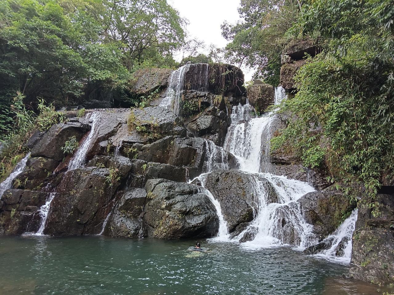 初夏的景致自带一份清宁。暖阳透过繁茂的枝叶，筛下斑驳碎光。草木愈发苍翠，满目清新