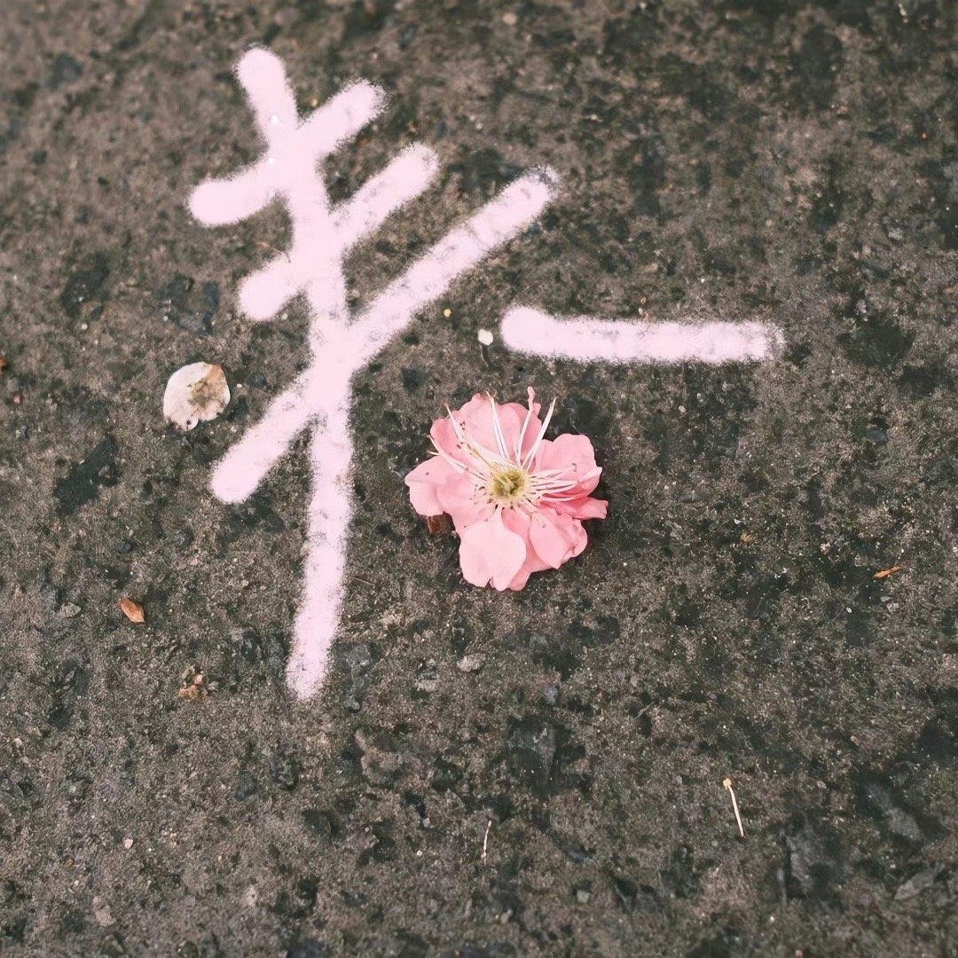 喜欢慢悠悠的日子和真诚的人❤️‍🔥 ​​​