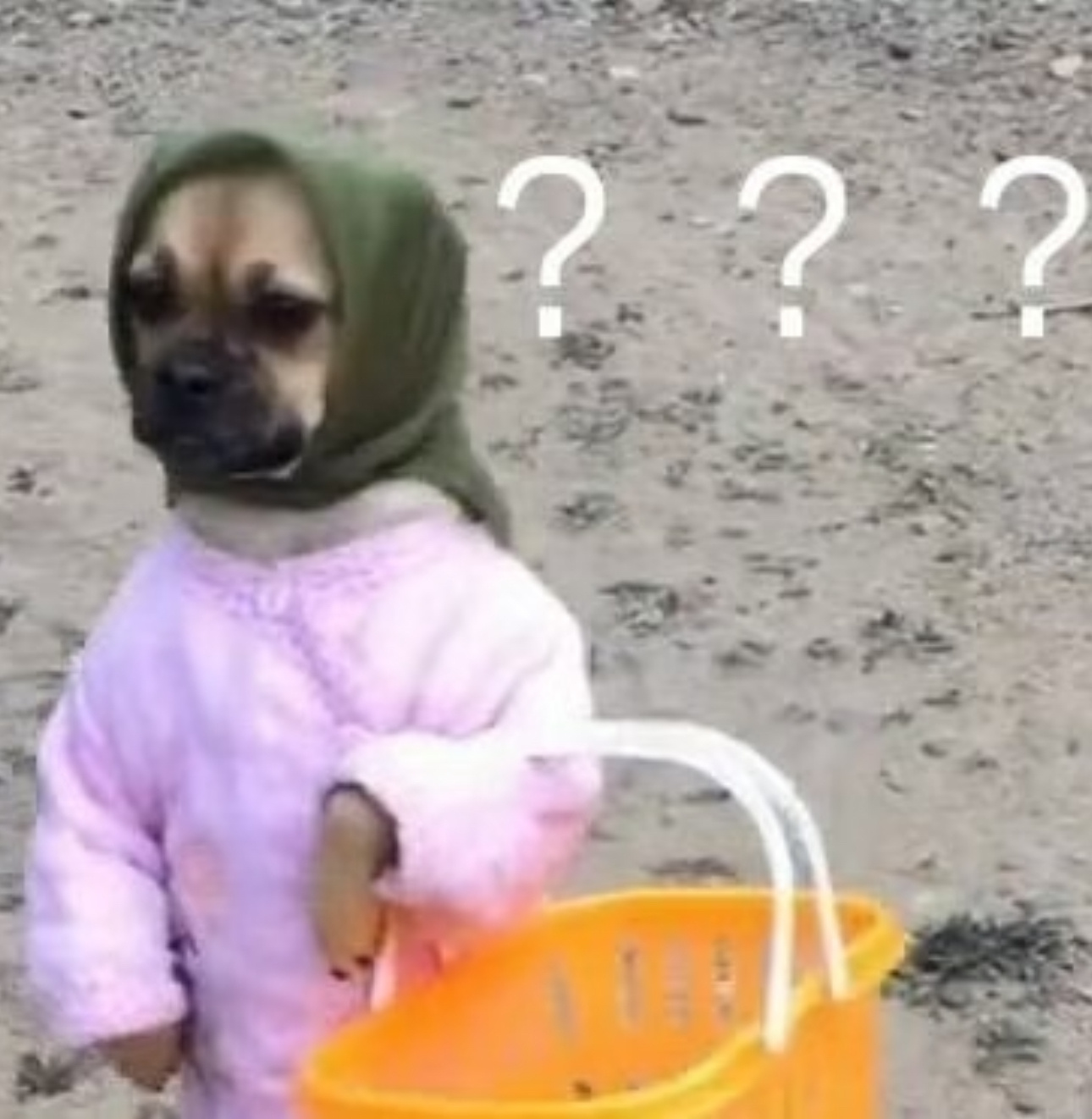 很少上线逛超话真的不理解橹穆批之前荣耀之战为啥不投票？然后也不支持个代现在也是 