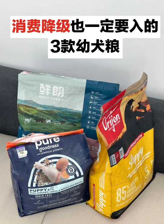 消费降级也一定要入的3款幼犬粮