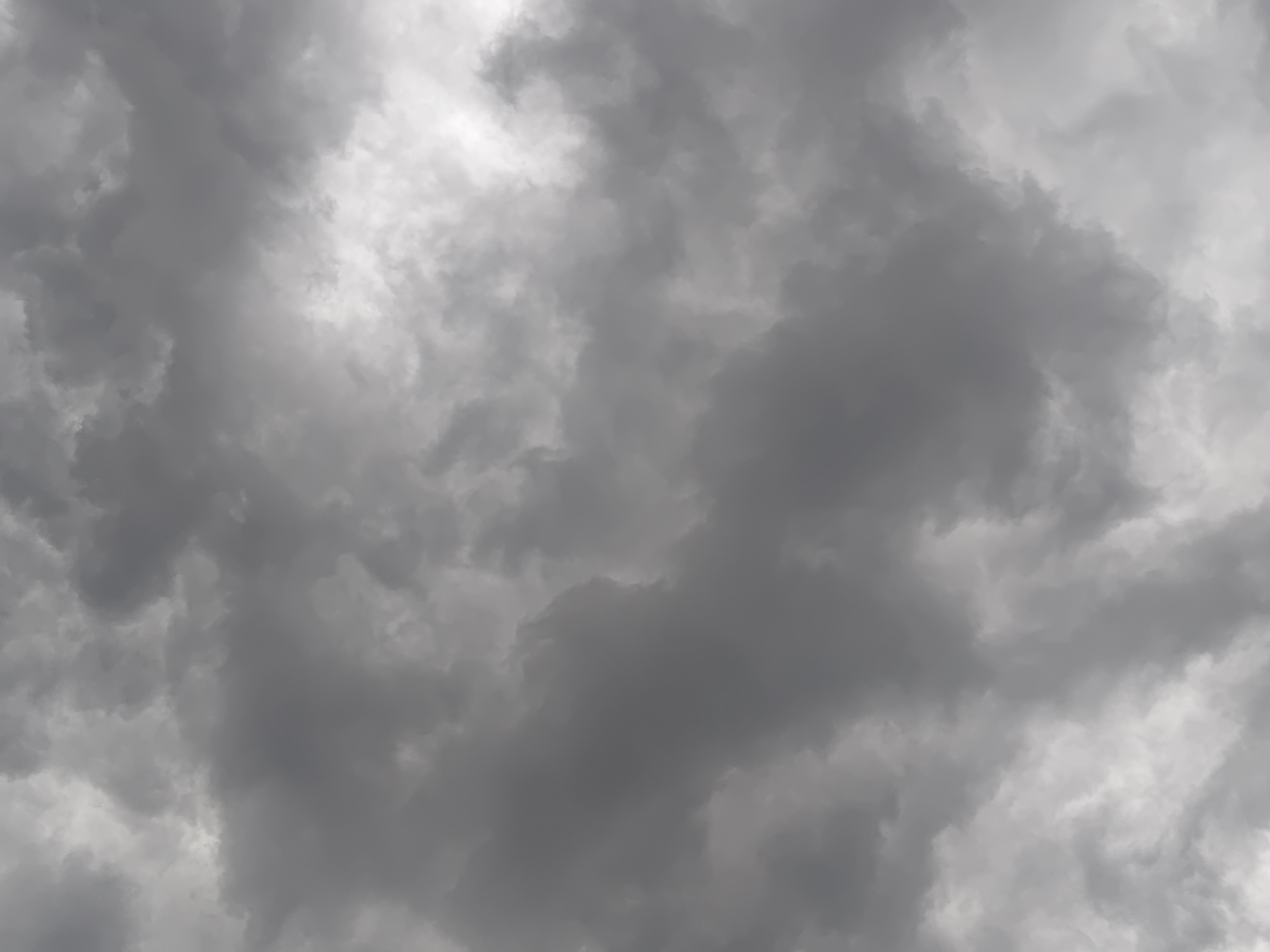 生活手记 终于要下雨了快要热鼠了