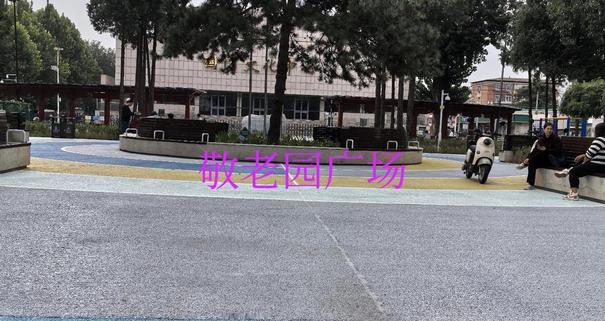 早五点半，天还没亮透，南楼足球场东边那片地儿，灯自己亮了。
智能心率柱盯着你，储