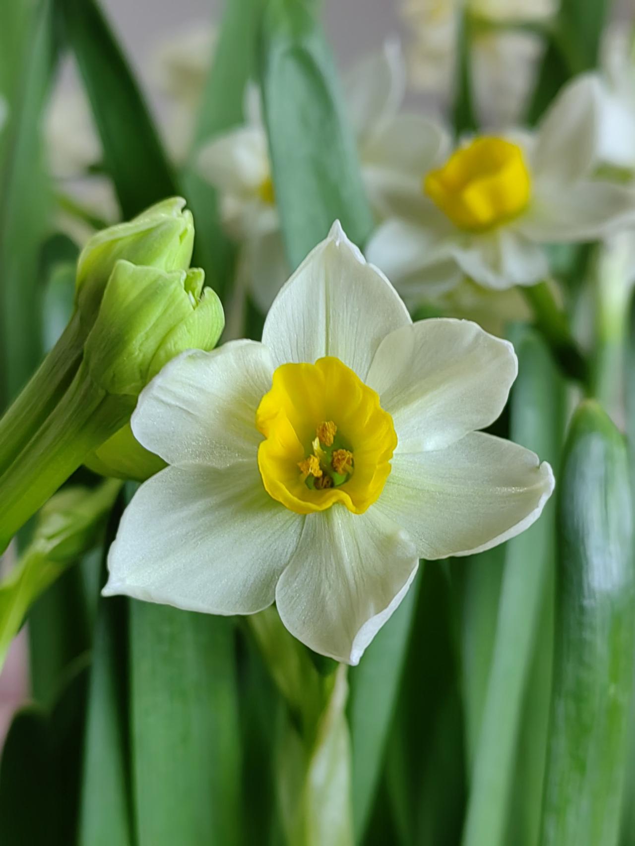 洛阳太厉害了，昨晚发现大景区几乎没票了，好点的酒店价格清一色翻倍。现在才10点，
