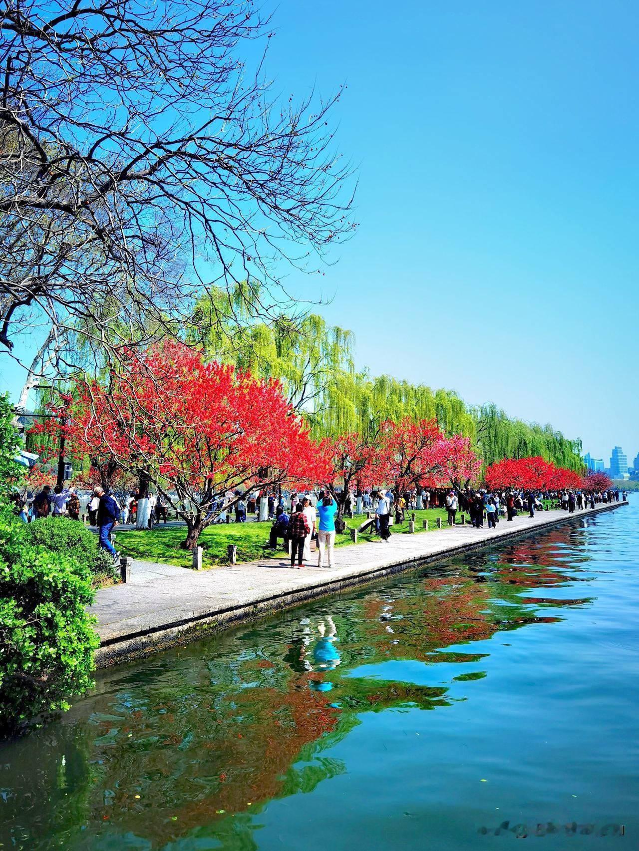 徒步杭州西湖北线，从断桥到孤山沿白堤观赏桃花，白堤大部分桃花（碧桃）在 3 月底