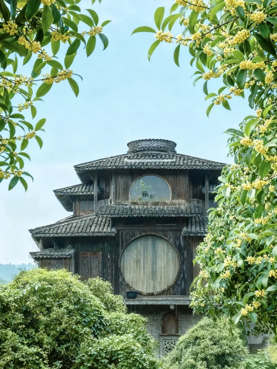 杭州｜满陇桂雨（懒人版徒步攻略！！！）🍃