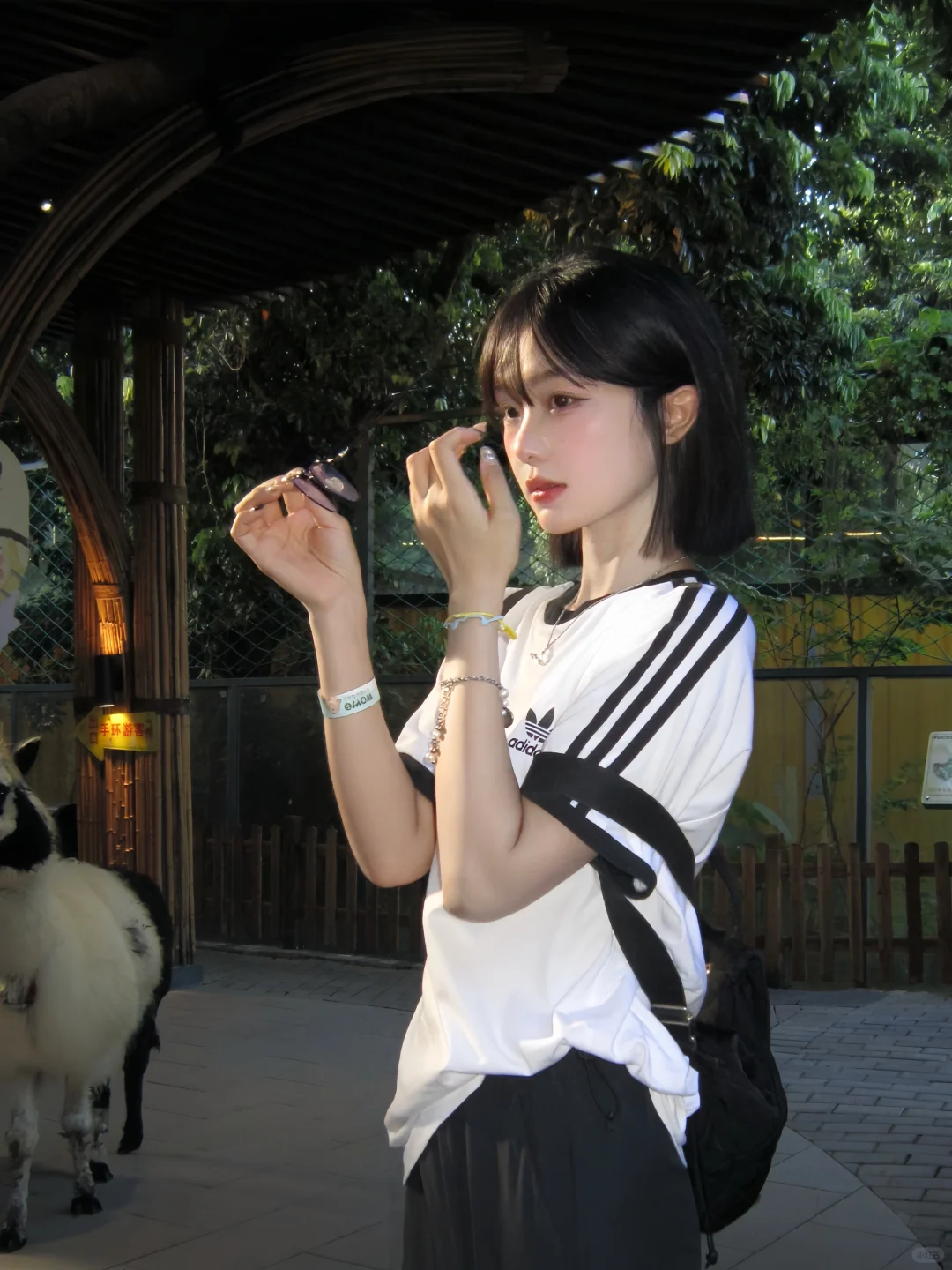 论明媚感我宣布ccd赢了