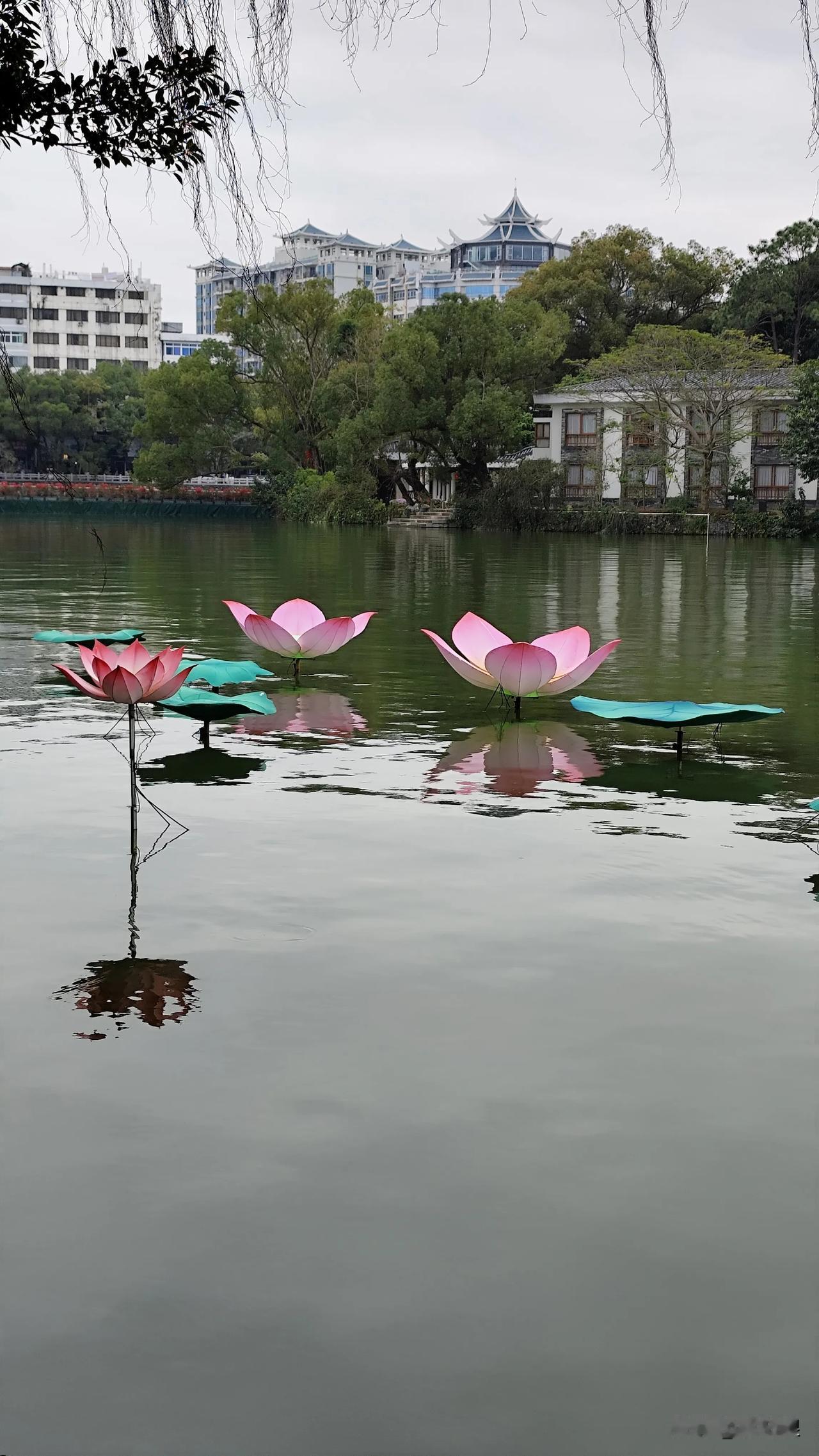 暂时去不了杭州西湖，来惠州西湖也不错这里是惠州西湖 惠州西湖好玩不