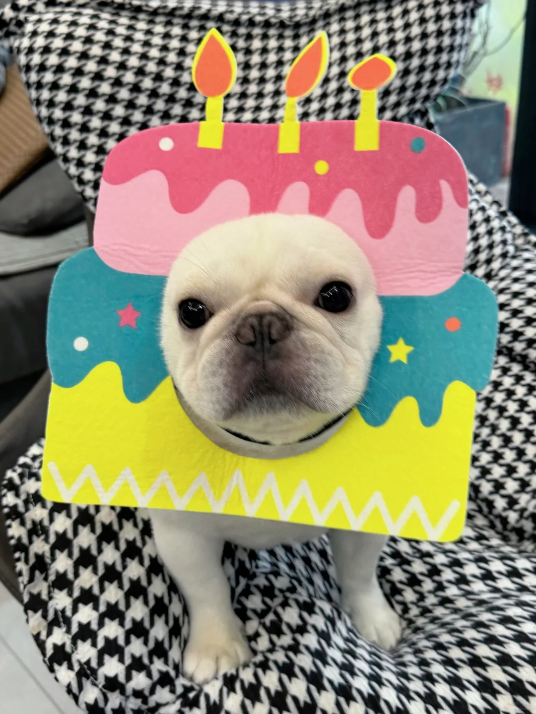 可以祝我生日快乐吗？