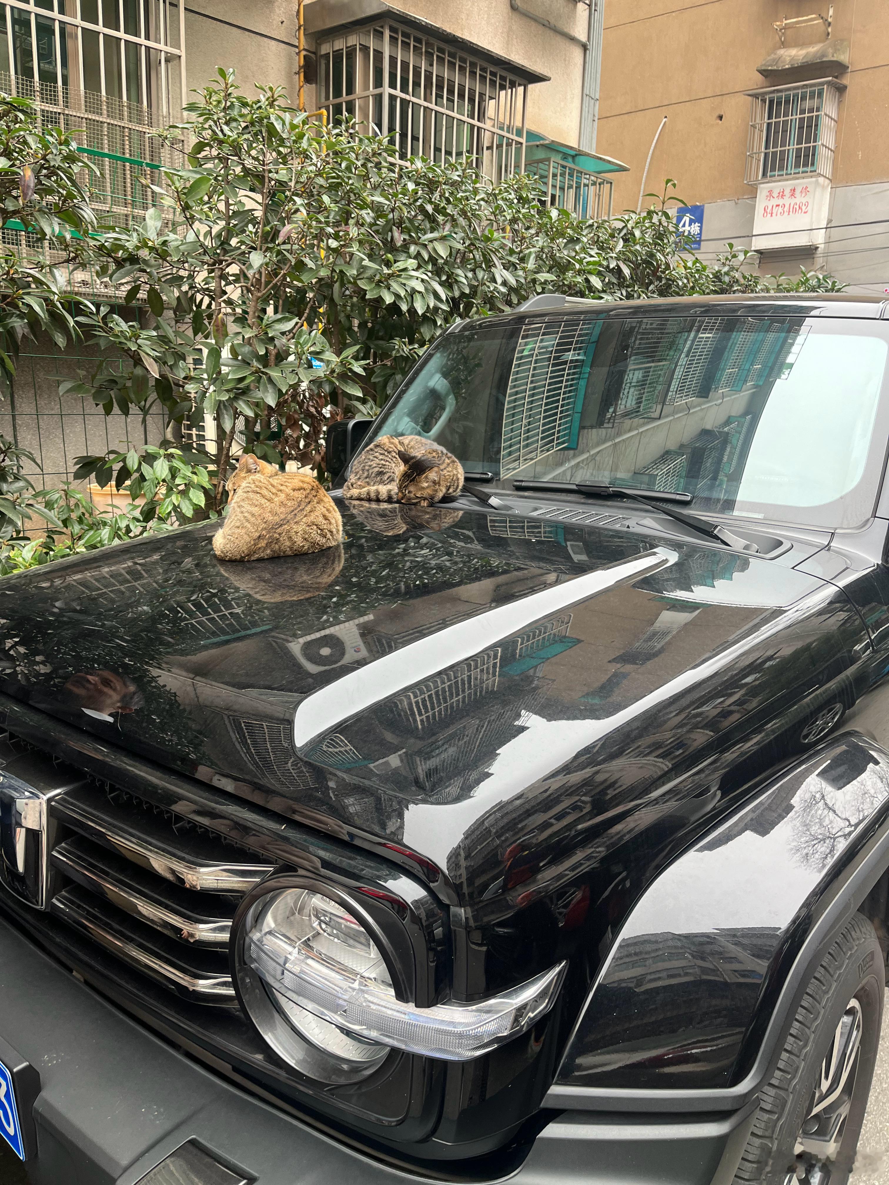 2025试的车不算多，也做个小总结：1.买车一定自己试，买自己喜欢的，别信媒体瞎