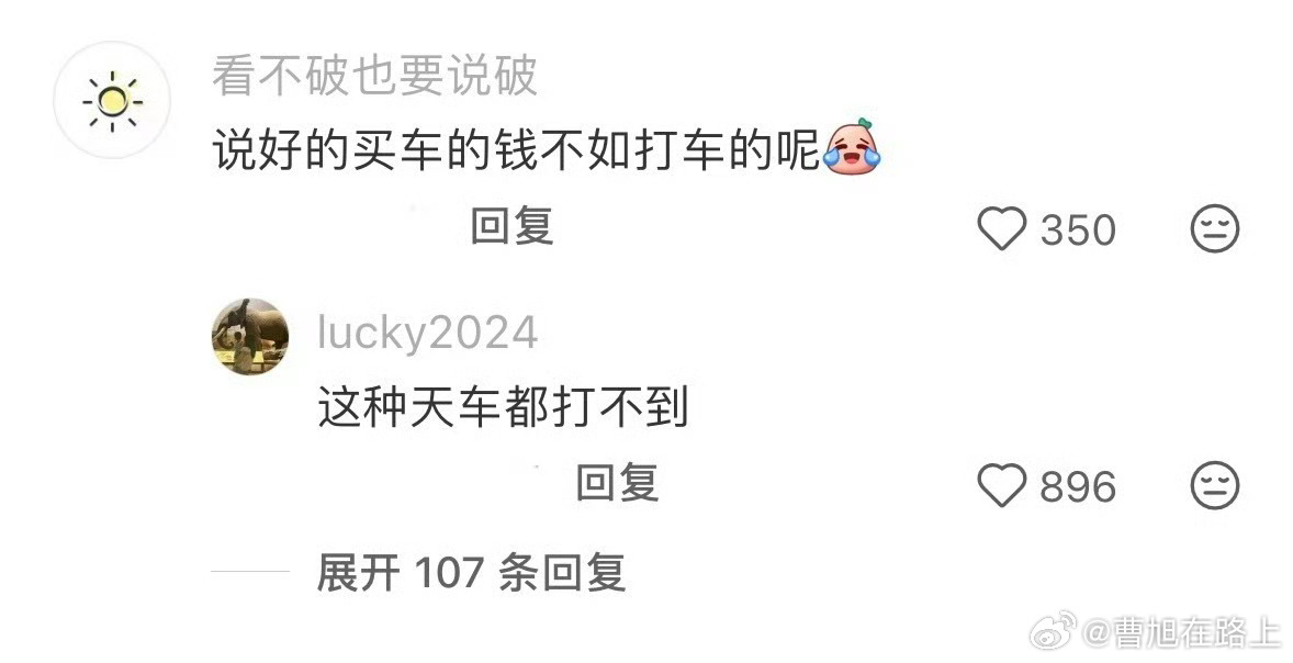 买车的欲望已经到了极致平时省吃俭用的，这会儿把车的车船税都给我用上，车也得开，船