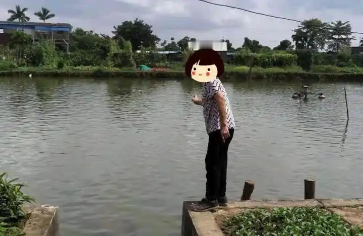 上海icon，一位80多岁的陈老太因年纪大睡不着，凌晨五点出门溜达。她来到一片私