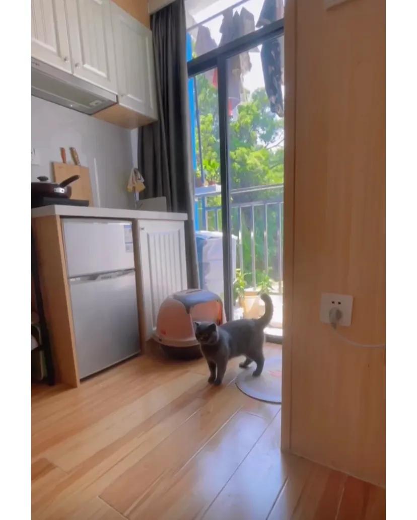 失业半年，心态逐渐崩溃
今天一共跑了五个面试，上午面试一个文员与期望薪资相差较多