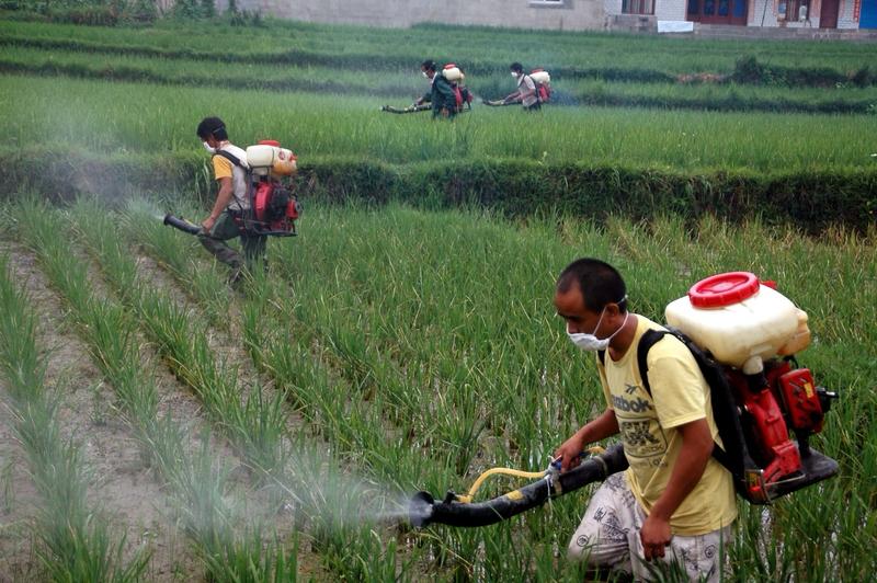 最近看到一则令人痛心的新闻，贵州遵义的刘仲杰哄骗10岁和7岁的子女喝下农药“敌敌
