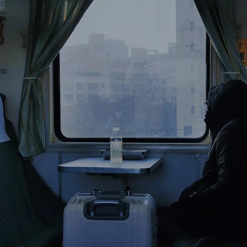 《岁月修行莫负韶华》
独在异乡为异客，
孤独旅行忆往昔。
都市繁华终过客，
匆匆