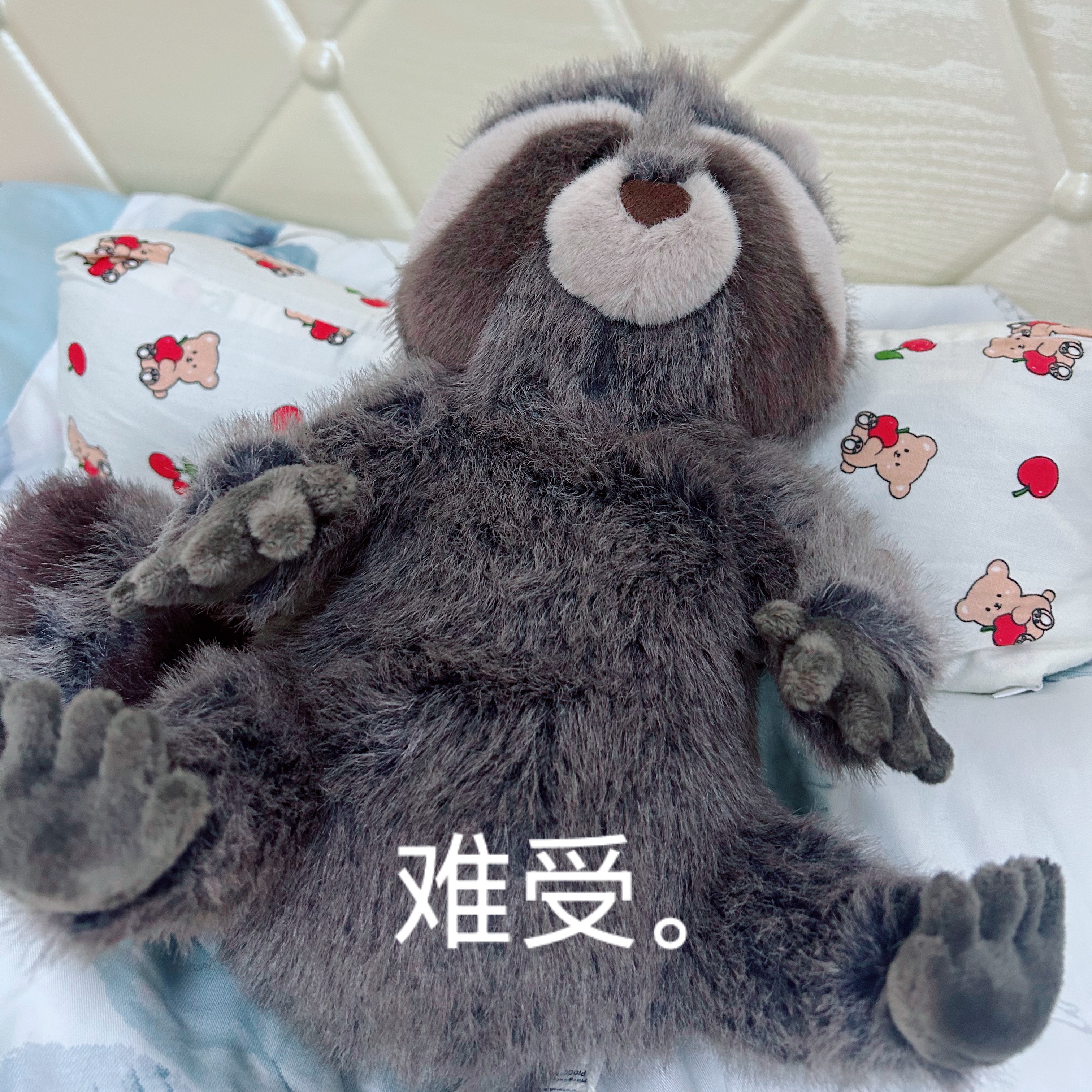 我想熊梓淇了 