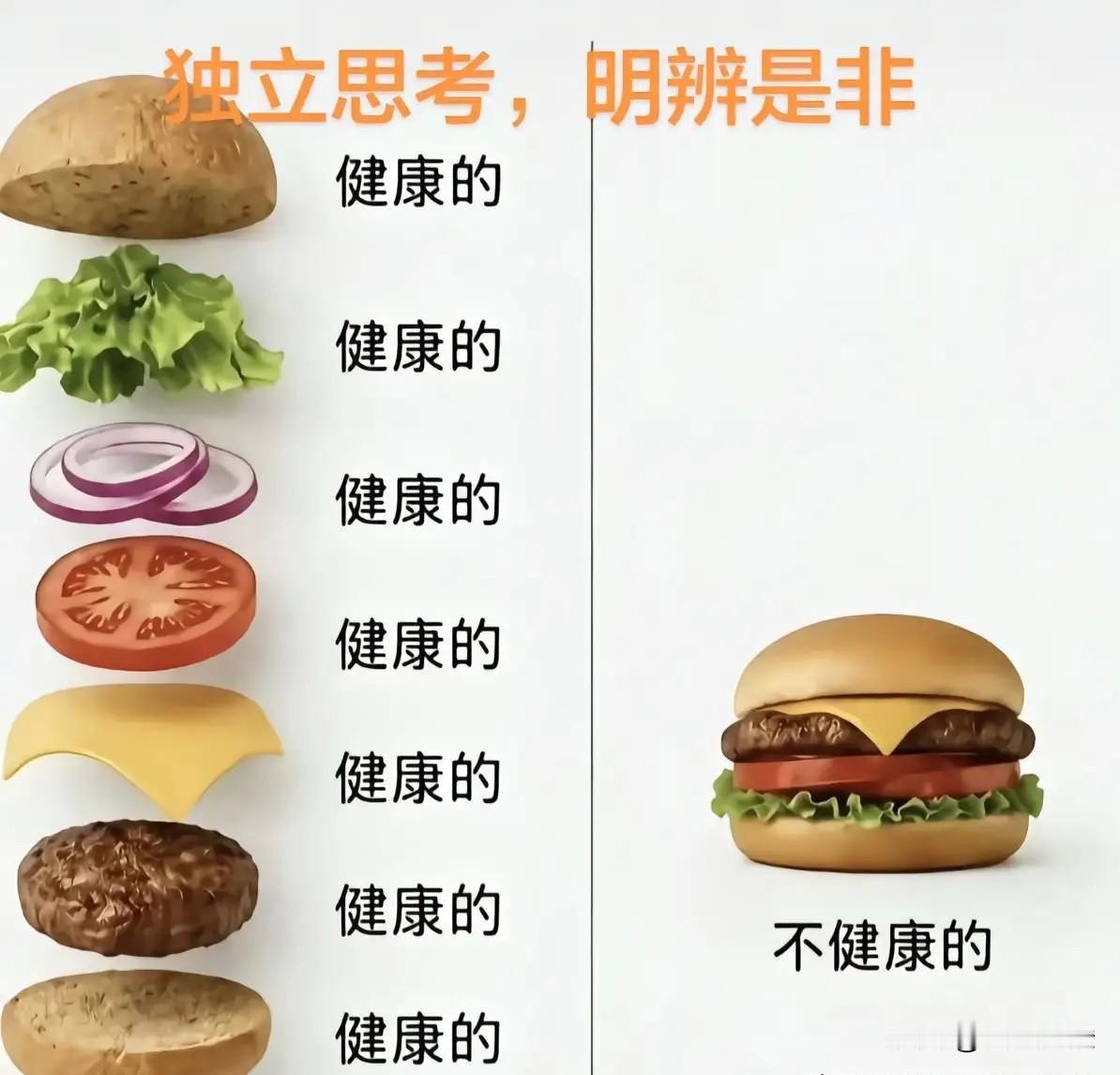 这张图简直是当代“二极管”思维的完美写照。明明分开看每样食材都挺健康，拼在一起成