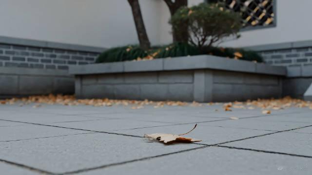 #网曝摊主摆摊时用纸擦屁股#
看点别的洗洗眼睛吧[吐]