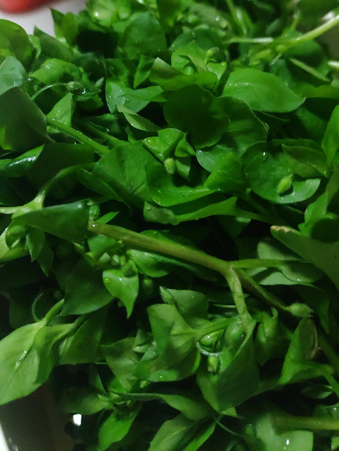 春风一吹，脑壳都清醒三分，往年春天还在伤春悲秋，今年大家的愿望主打一个实在——不