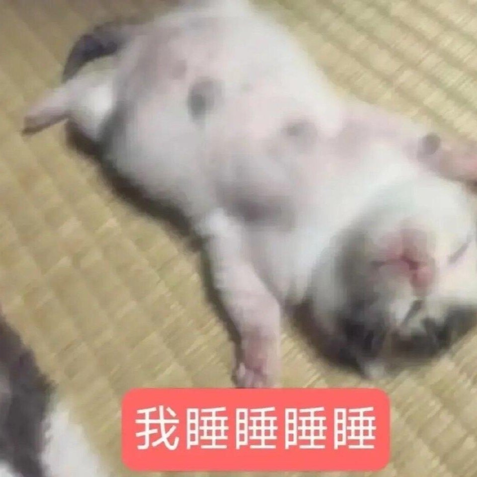 分享图片 