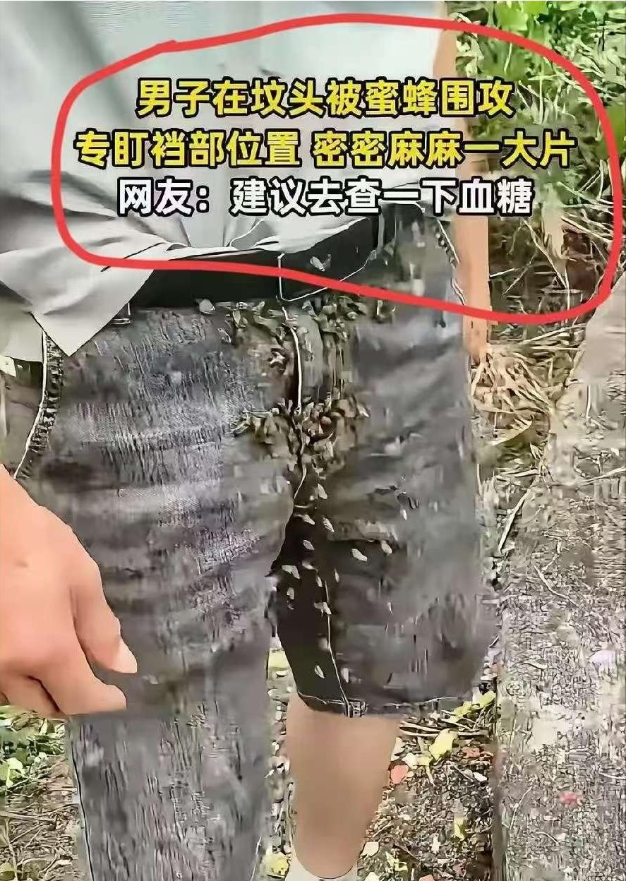 “解释不清了！”陕西，一男子清明节去上坟，期间，一群蜜蜂飞来围攻他。谁知，蜜蜂哪