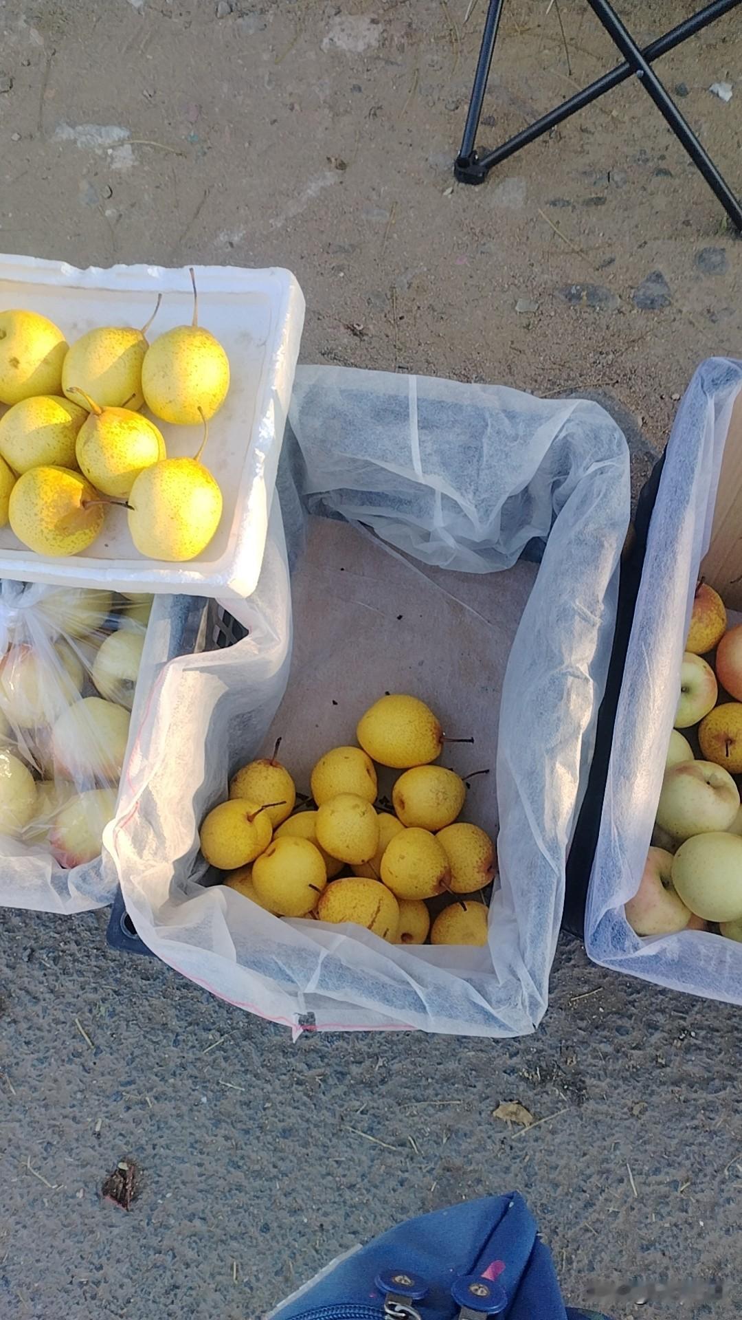 今天我在头条挣了0.01元，不是鸭蛋就好。白天卖苹果卖了167元，今天有点冷但是