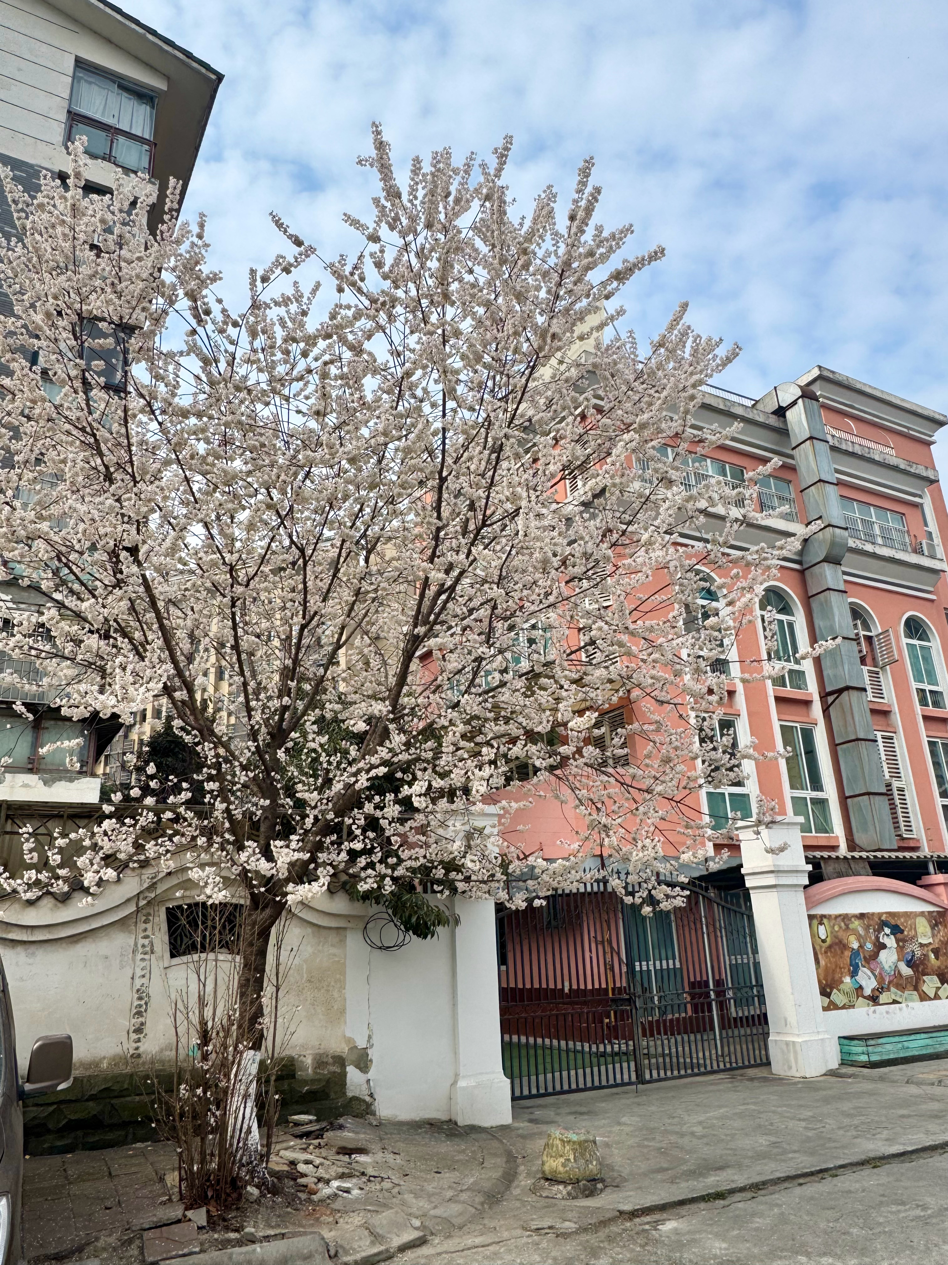 三月啦！春来到～愿一切越来越好🍀🕊 