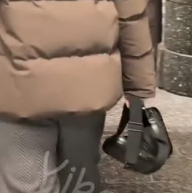 樊振东拎包还怪时尚的  猪咪的时尚理念：空包大开拎着晃悠  