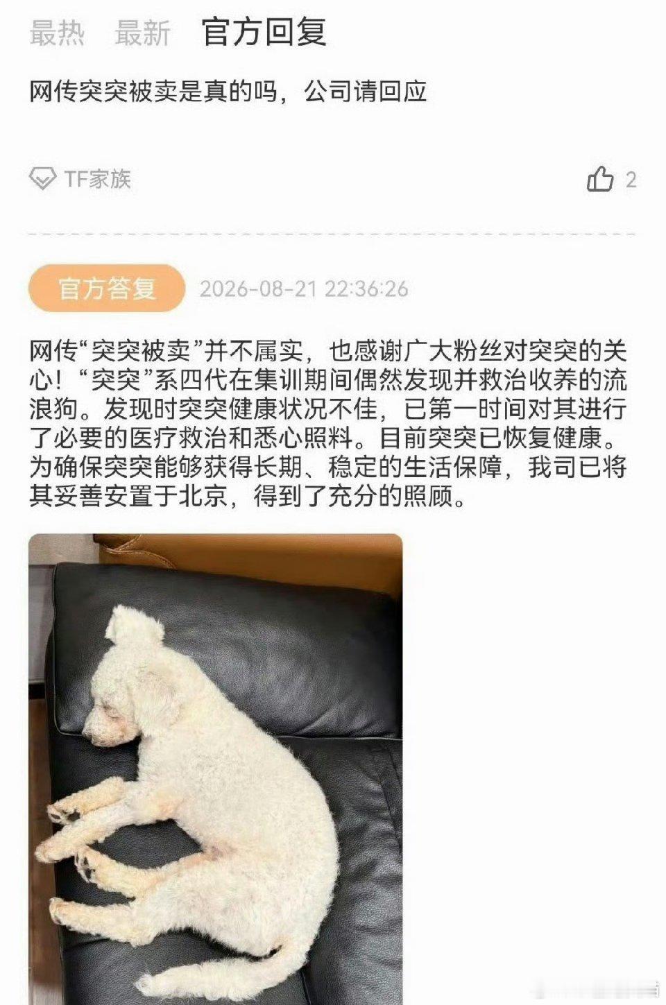 突突没有被卖时代峰峻官方出来辟谣，网传流浪狗突突被工作人员六位数转卖的消息不实。