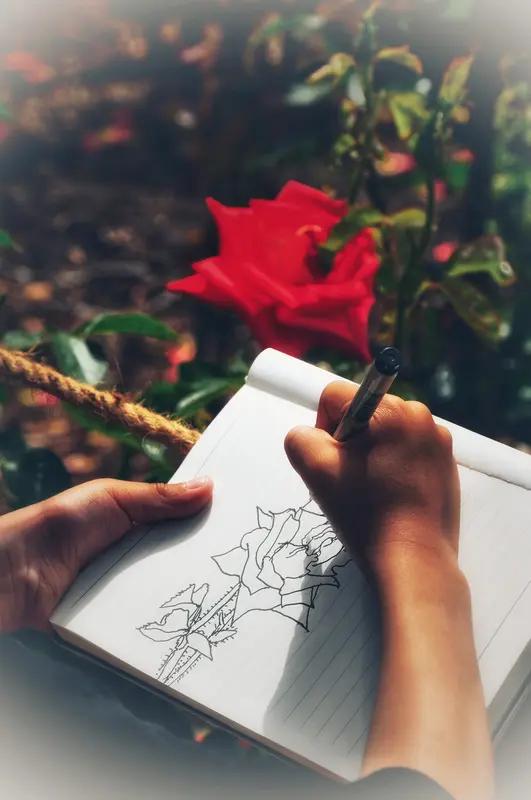 这般真诚且富有文采的互动，着实令人倍感暖心！就如这段对话，双方相互欣赏、彼此称赞