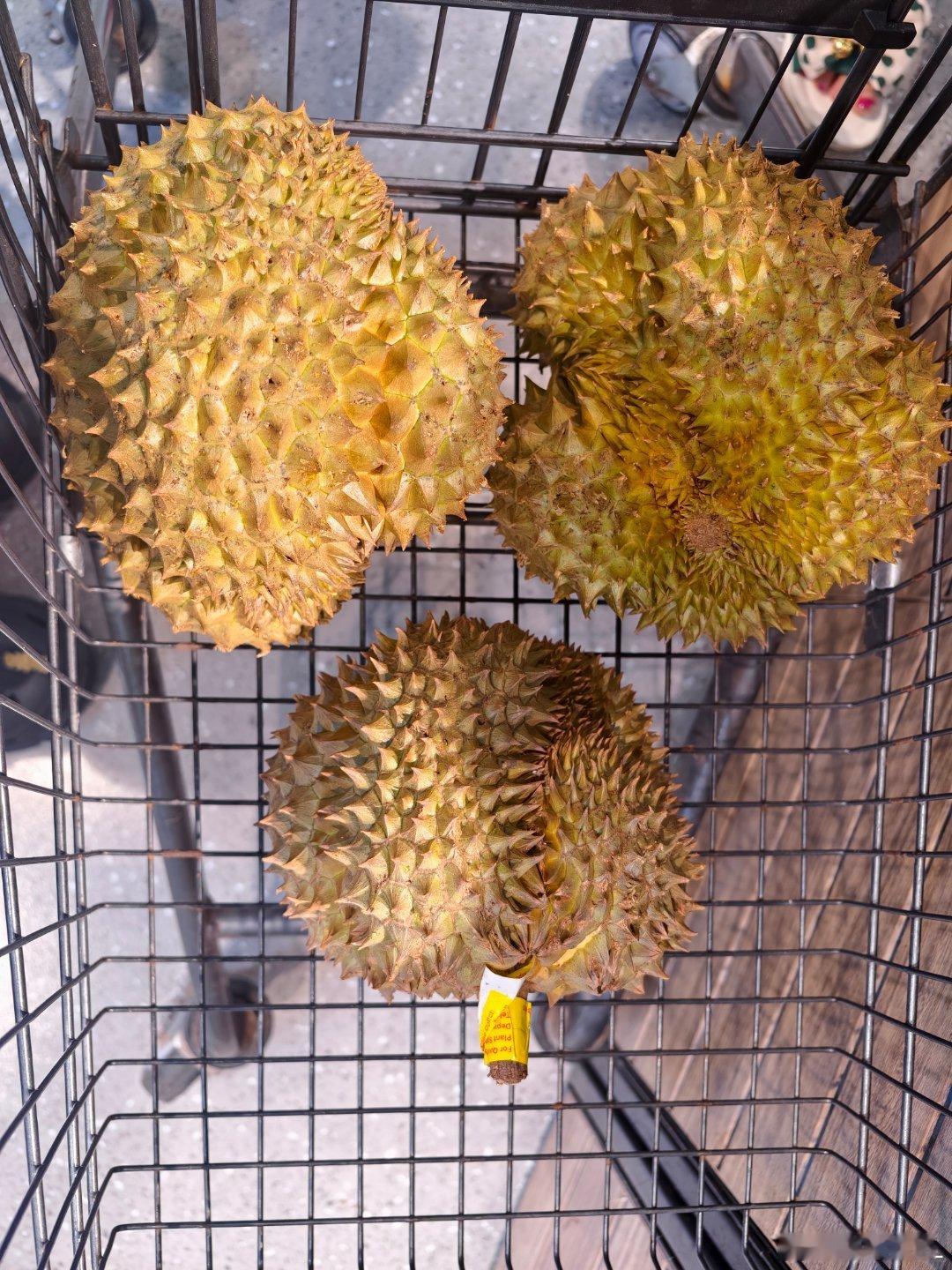 哪个比较好跪？